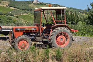 TRATTORE SAME RANGER DT 45