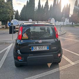 panda 1.0 hybrid 2022