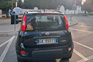 panda 1.0 hybrid 2022