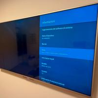 TV Sony Bravia KD-49X8307C 49 pollici 4K UHD Wifi