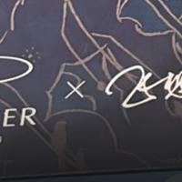 Penna  Parker stilogragica - Collezione-