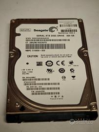 Hard Disk 320gb 2,5" per portatili
