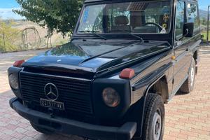 MERCEDES G300 AUTOCARRO