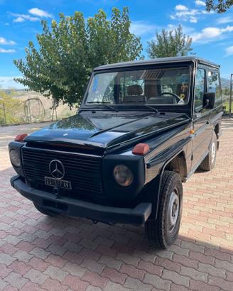 MERCEDES G300 AUTOCARRO