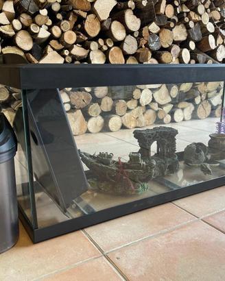 Acquario