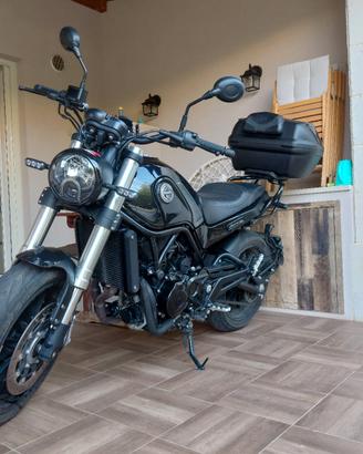 Benelli leoncino  500