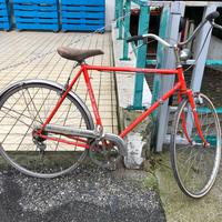 Biciclette bottecchia vintage brooks bacchetta