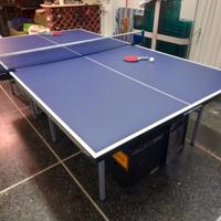 Tavolo ping pong