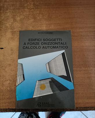 Edifici soggetti a forze orizzontali calcolo autom