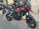 triumph-tiger-900-gt-2025