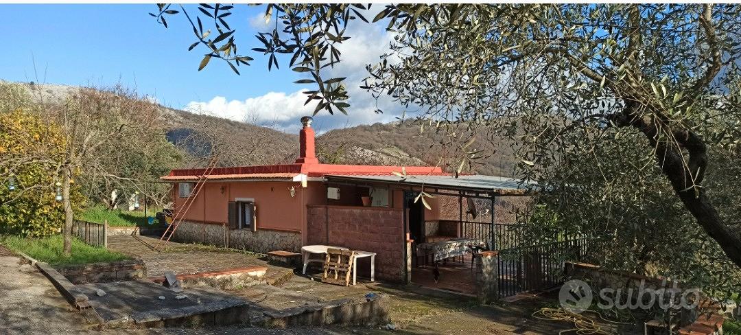 proprietà immersa nel verde dei monti lepini - Vista 5