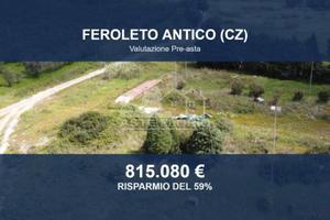 Immobile in asta di 79900 m² a Feroleto Antico