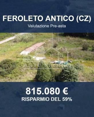 Immobile in asta di 79900 m² a Feroleto Antico