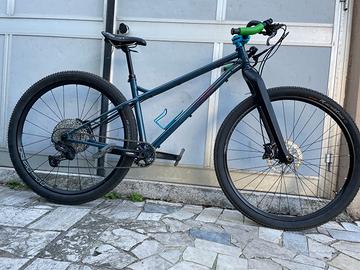 MTB Ragley Piglet Custom Tg M