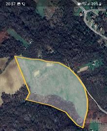 Piantagione di nocciole in Bosnia ed Erzegovina