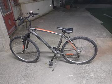 bici buone condizioni