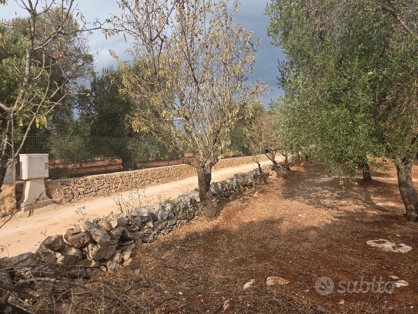 Terreno edificabile con fabbricato a Ostuni - Vista 5
