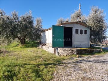 TE69 - Montepulciano terreno dove si può