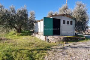TE69 - Montepulciano terreno dove si può