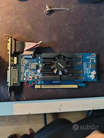 Scheda video gigabyte