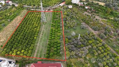 Terreno industriale