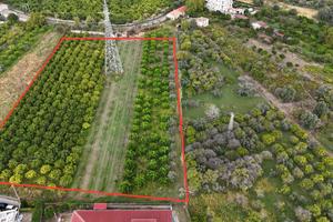 Terreno industriale