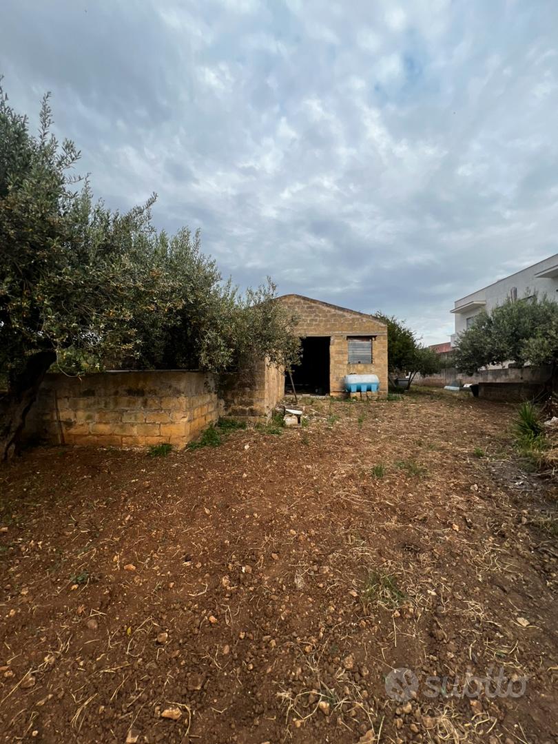 Magazzino con terreno - Vista 3