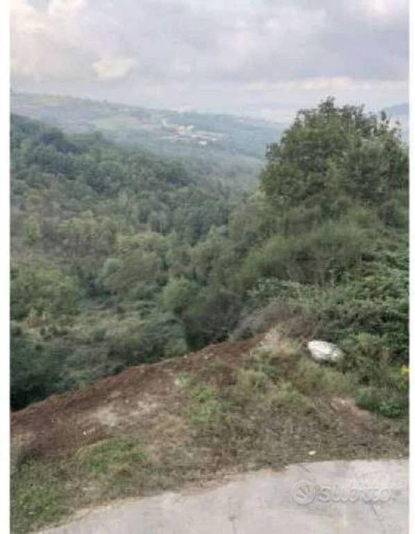 Immobile in asta di 15089 m² a Ruvo del Monte - Vista 2