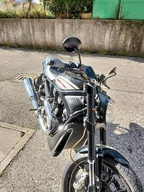 HARLEY V ROD