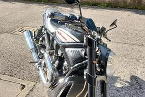 HARLEY V ROD