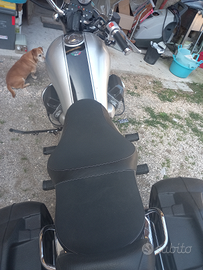 Moto guzzi california stone