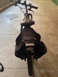 Bici elettrica