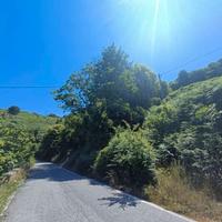 RGE 45/2024 Trib Barcellona - LOTTO 7