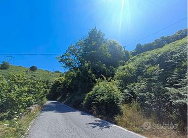 RGE 45/2024 Trib Barcellona - LOTTO 7