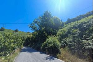 RGE 45/2024 Trib Barcellona - LOTTO 7