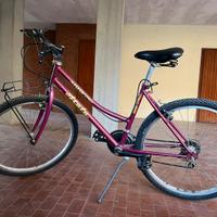 Bicicletta con cambio