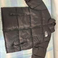 Giubotto the north face M
