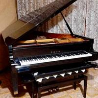 Pianoforte 3/4 di coda