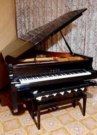 Pianoforte 3/4 di coda