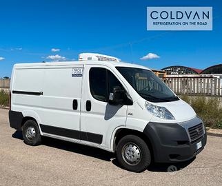 Fiat ducato frigo surgelati