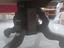 Immagine 3