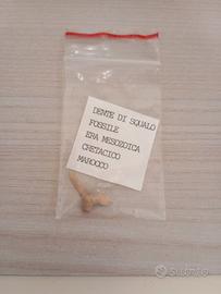 antichità 