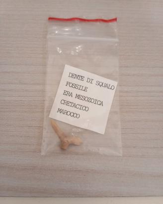 antichità 
