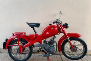 Motom 48 C “Codice” Targa Oro FMI