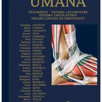 Ttrattato di Anatomia Umana edi ermes 