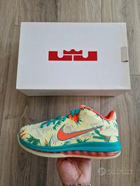 Nike Lebron IX LeBronald Palmer 