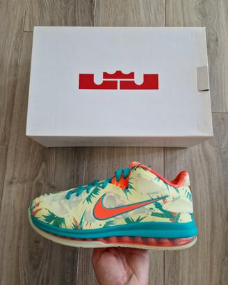 Nike Lebron IX LeBronald Palmer 