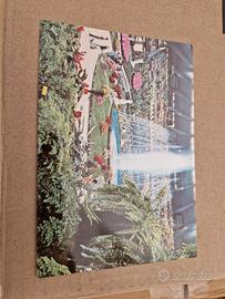 Cartolina non viaggiata Euroflora 76