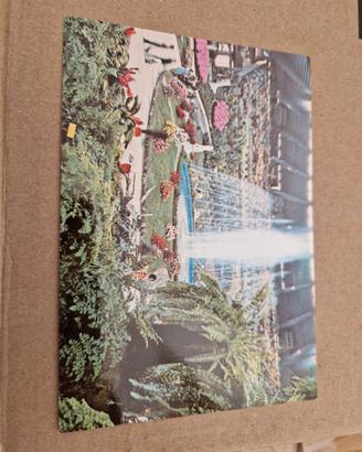Cartolina non viaggiata Euroflora 76