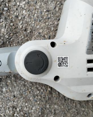 taglia siepe telescopico